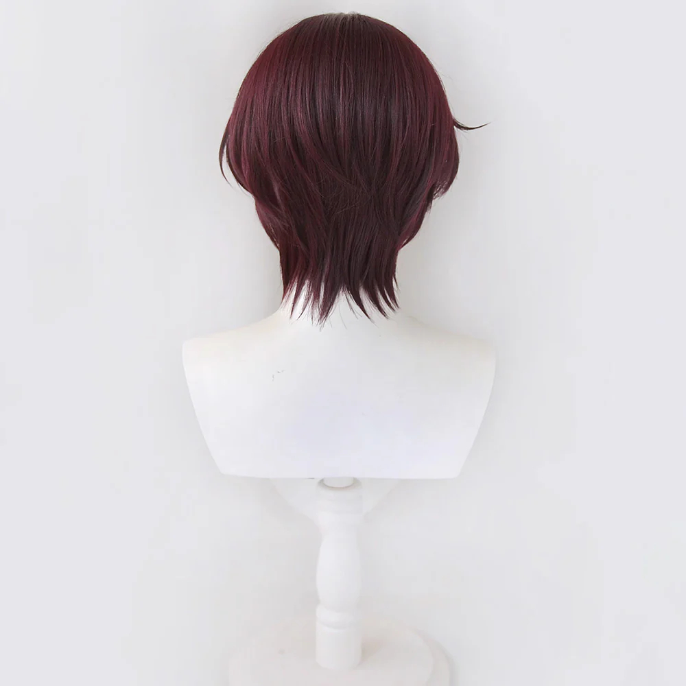 Wind Breaker Hayato Suou Cosplay Wig