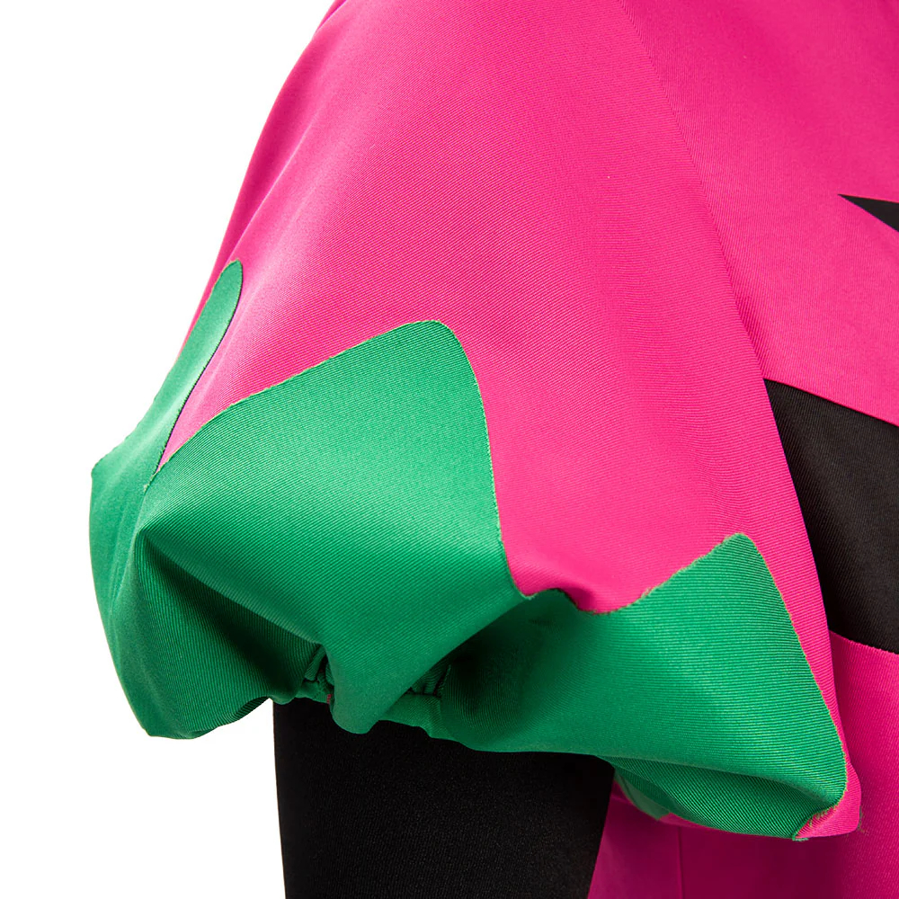 Pokemon PM PM Scarlet and Violet Atticus Cosplay Costume