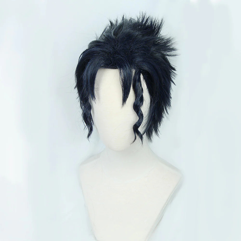 JoJo's Bizarre Adventure Jotaro Kujo Blue Black Cosplay Wig