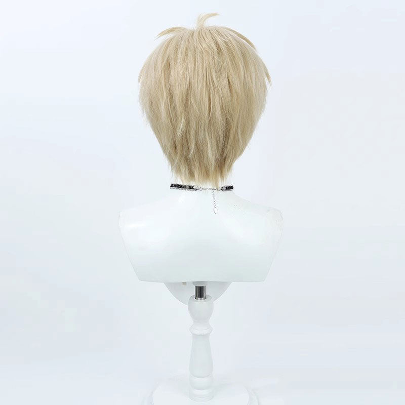 Delicious in Dungeon Laios Touden Cosplay Wigs