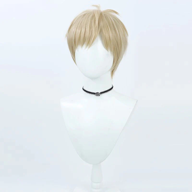 Delicious in Dungeon Laios Touden Cosplay Wigs