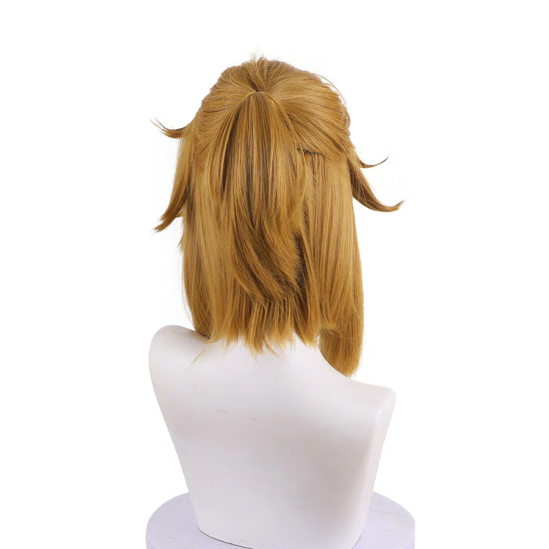 The Legend of Zelda: Breath of the Wild Link Cosplay Wig