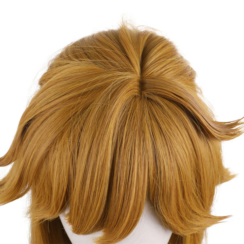 The Legend of Zelda: Breath of the Wild Link Cosplay Wig