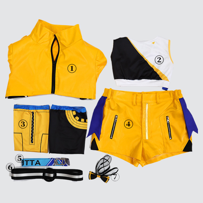 Hatsune Miku 17th Anniversary Cosplay Costume