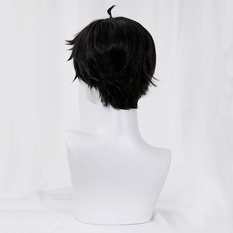  Honkai: Star Rail Dan Heng Cosplay Wig