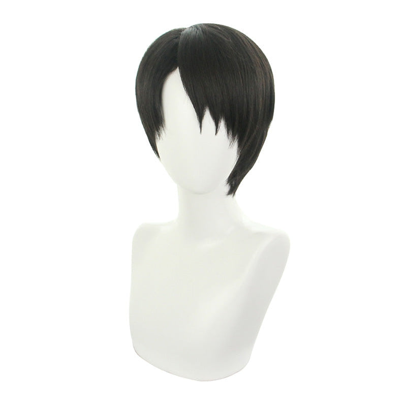 Attack on Titan Levi Ackerman Black Cosplay Wigs