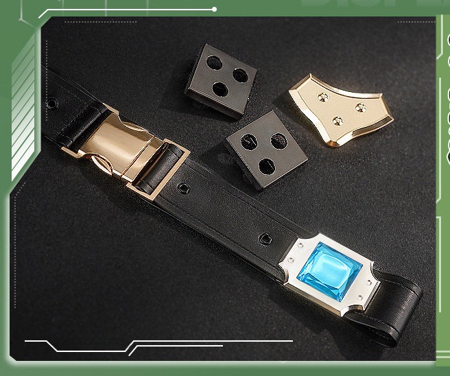  Sword Art Online Asada Shino Cosplay Costume 