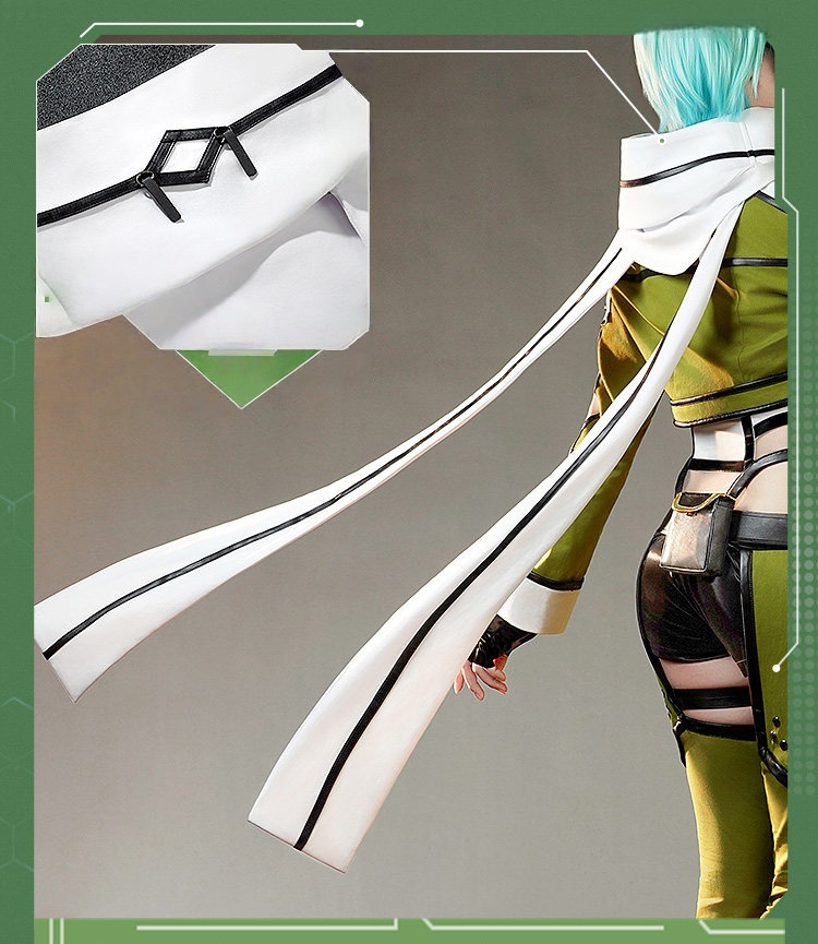  Sword Art Online Asada Shino Cosplay Costume 