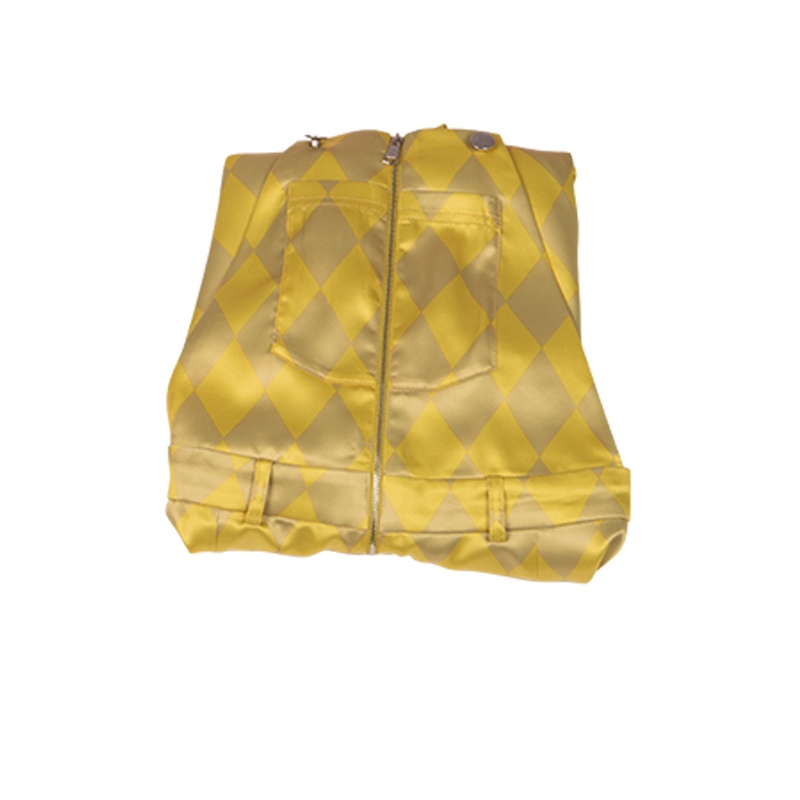 DC Movie Bird of Prey Harley Quinn costume Full Harlequin cosplay outfit