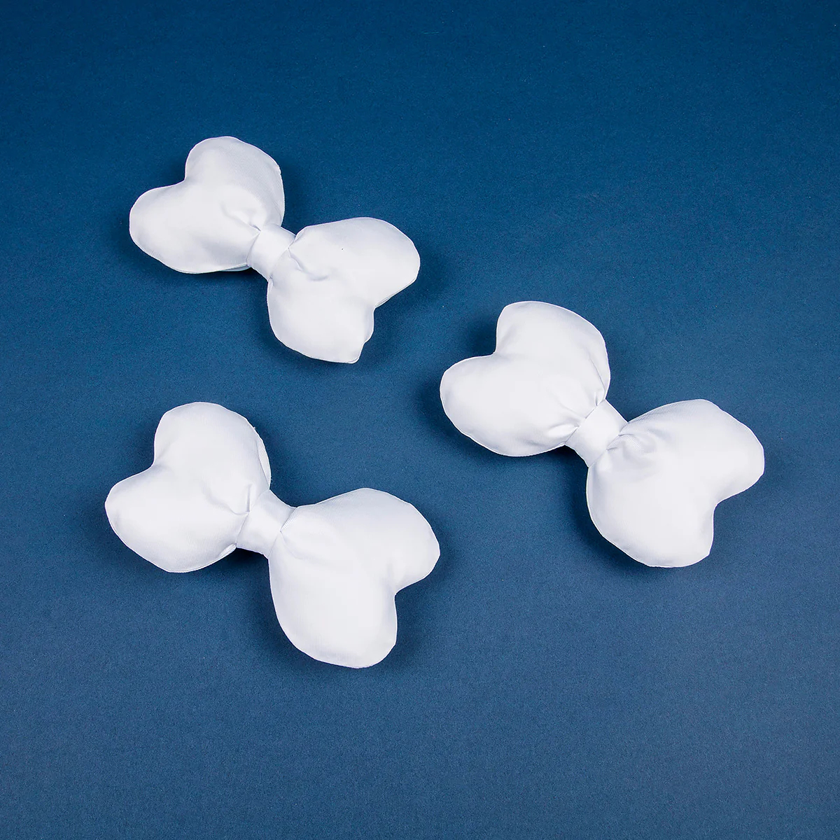 PM Legends: ZA Lebanne Cosplay Costume Type B