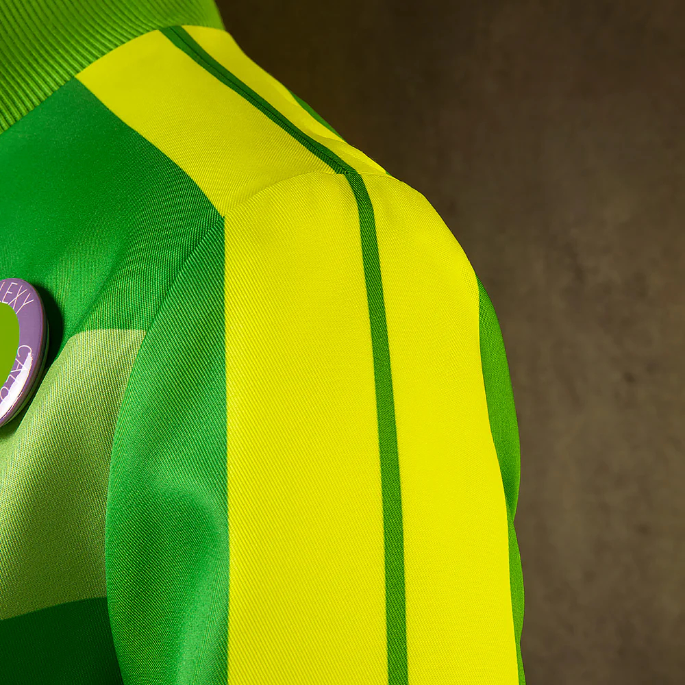 Persona 4 Golden Satonaka Chie Green Cosplay Costume