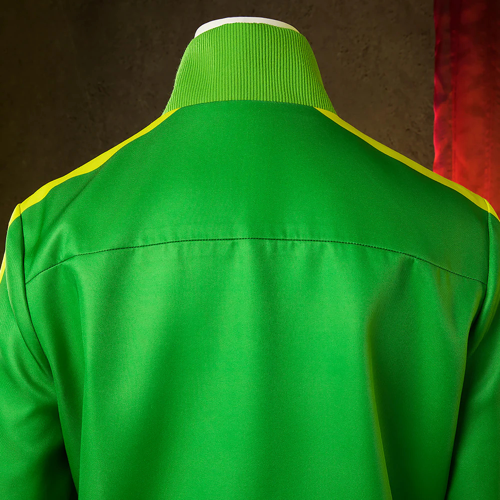 Persona 4 Golden Satonaka Chie Green Cosplay Costume