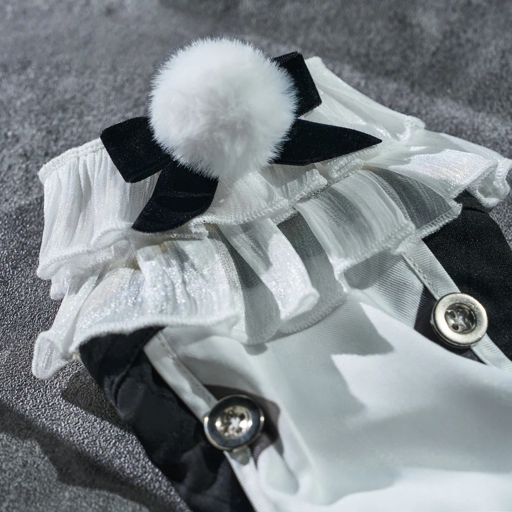 Zenless Zone Zero Cissia Cosplay Costume 