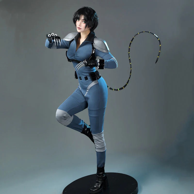 DC Absolute Catwoman Cosplay Costumes