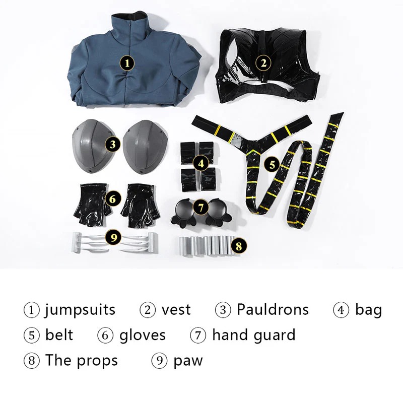 DC Absolute Catwoman Cosplay Costumes