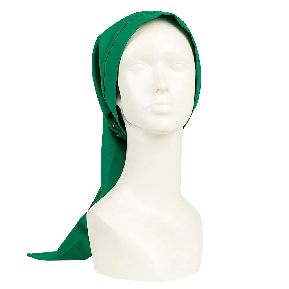 The Legend of Zelda Hyrule Warriors Link Cosplay Costume