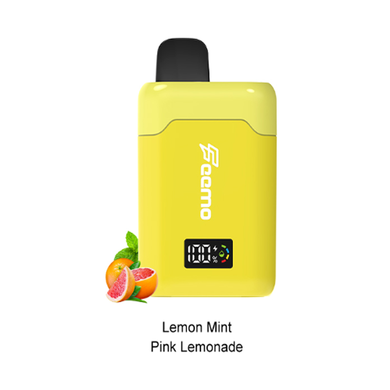 [Europe-PL01] Feemo GEMINI PRO 28000 Kit 16ml