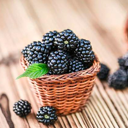 [Global-CN05] Magical Flavour Fruit Concentrated Flavors