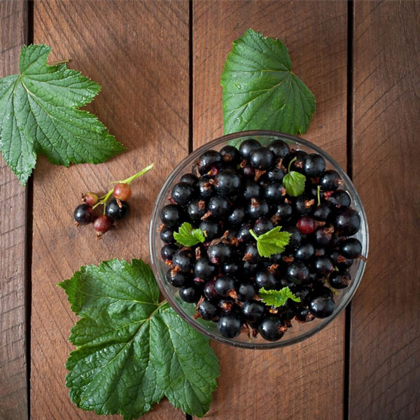 [Global-CN05] Magical Flavour Fruit Concentrated Flavors