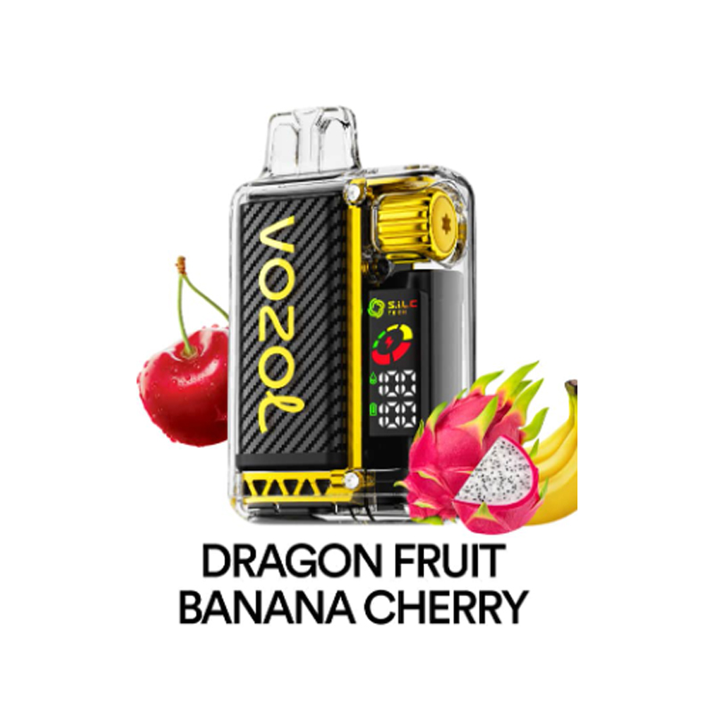 [Europe-DE01] Authentic VOZOL Vista 20000 Kit 24ml-CigBest