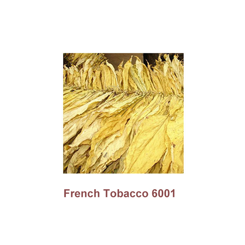 [Global-CN05] Magical Flavour Tobacco Concentrated Flavors