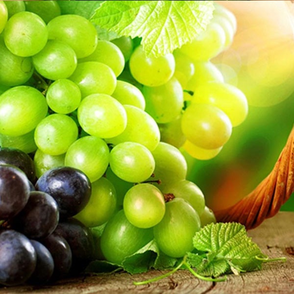 [Global-CN05] Magical Flavour Fruit Concentrated Flavors