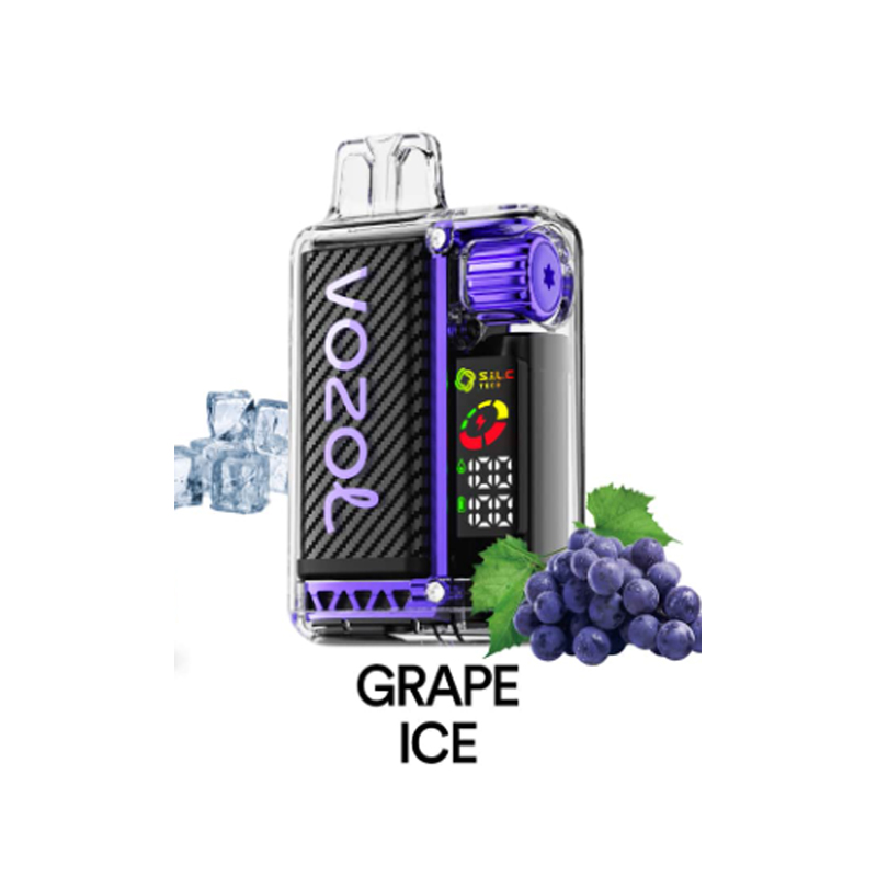 [Europe-DE01] Authentic VOZOL Vista 20000 Kit 24ml-CigBest