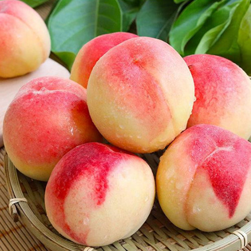 [Global-CN05] Magical Flavour Fruit Concentrated Flavors