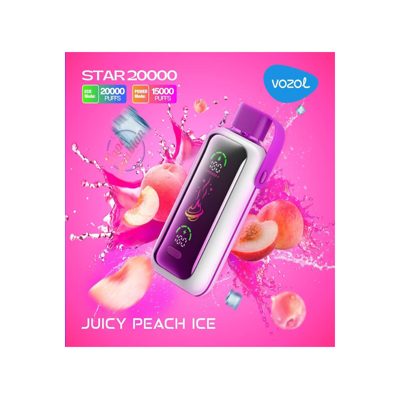 [Europe-DE01] Authentic VOZOL STAR 20000 Kit 24ml