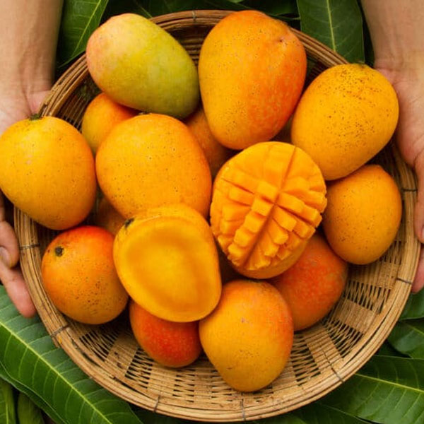 [Global-CN05] Magical Flavour Fruit Concentrated Flavors