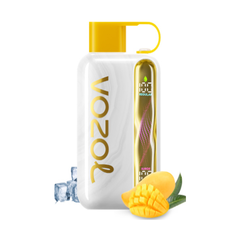 [Europe-PL01] Authentic VOZOL STAR 40000 Kit 28ml