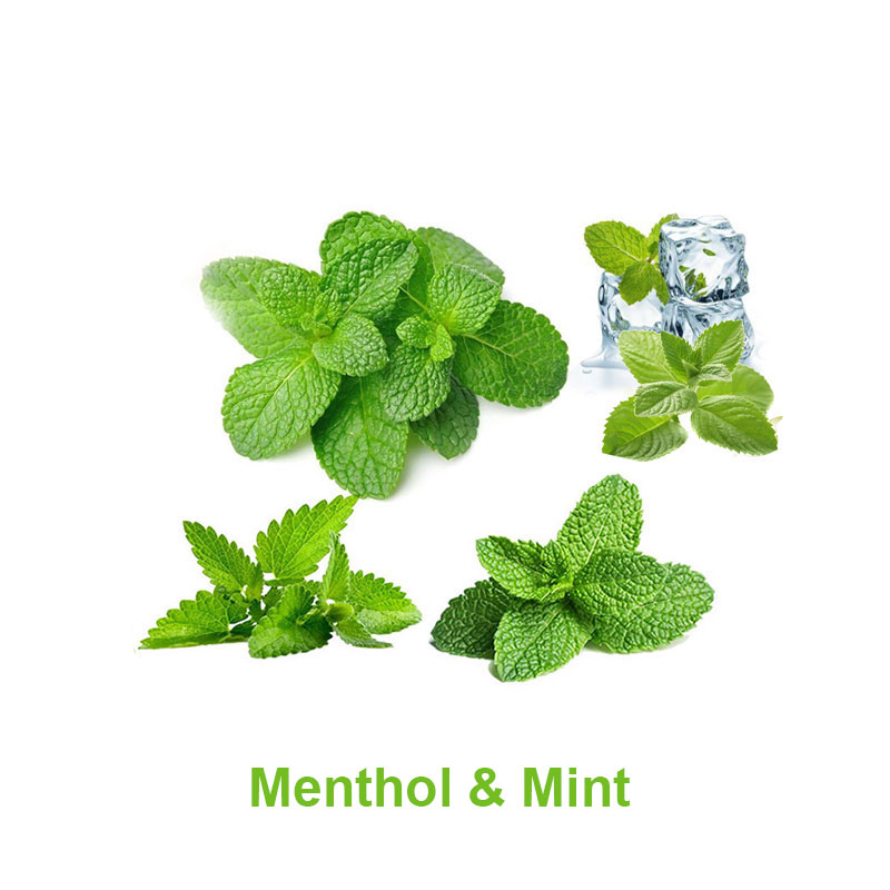 [Global-CN05] Magical FLV Menthol & Mint Concentrated FLVs-CigBest