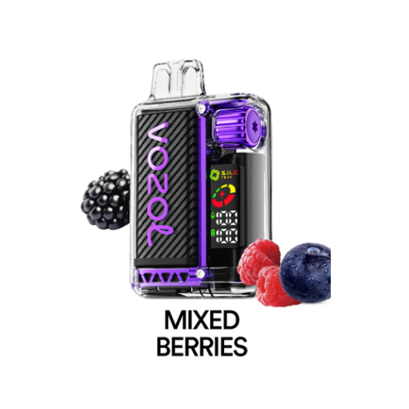 [Europe-DE01] Authentic VOZOL Vista 20000 Kit 24ml-CigBest