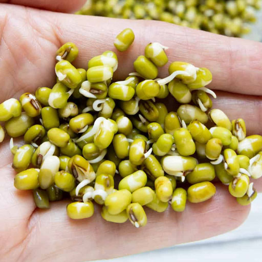 [Global-CN05] Magical Flavour Nut & Herb Concentrated Flavors