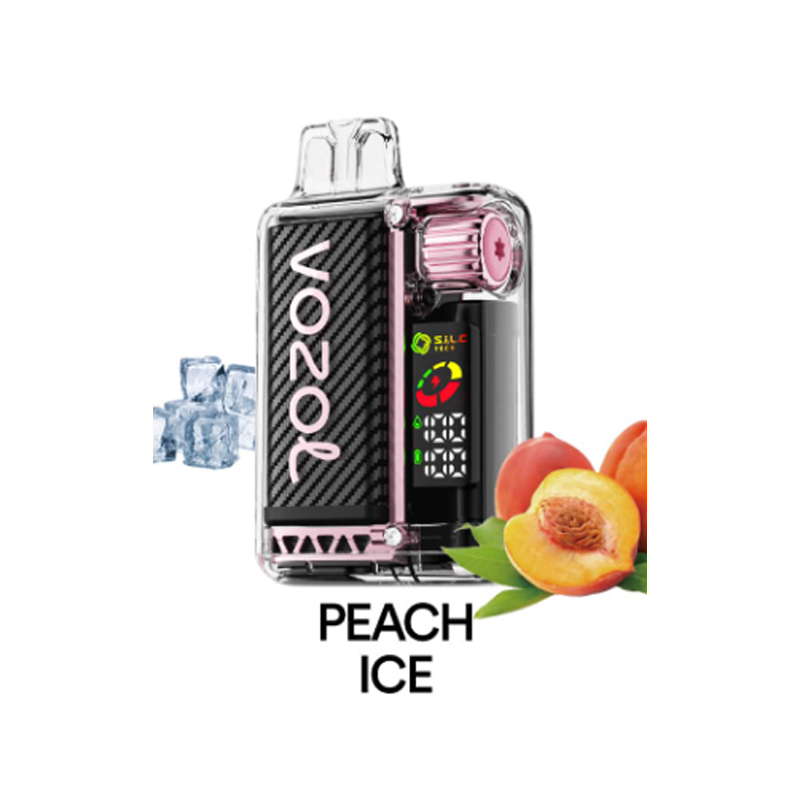 [Europe-DE01] Authentic VOZOL Vista 20000 Kit 24ml-CigBest