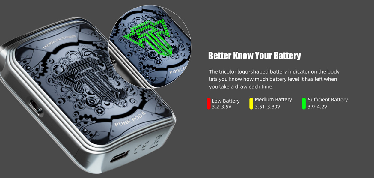 Teslacigs Punk Pod II Bausatz