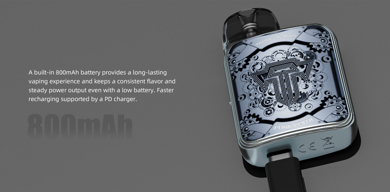 Teslacigs Punk Pod II Bausatz