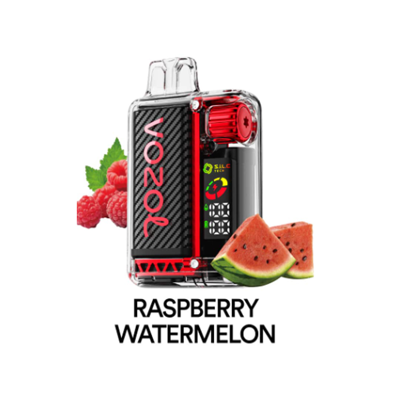 [Europe-DE01] Authentic VOZOL Vista 20000 Kit 24ml-CigBest