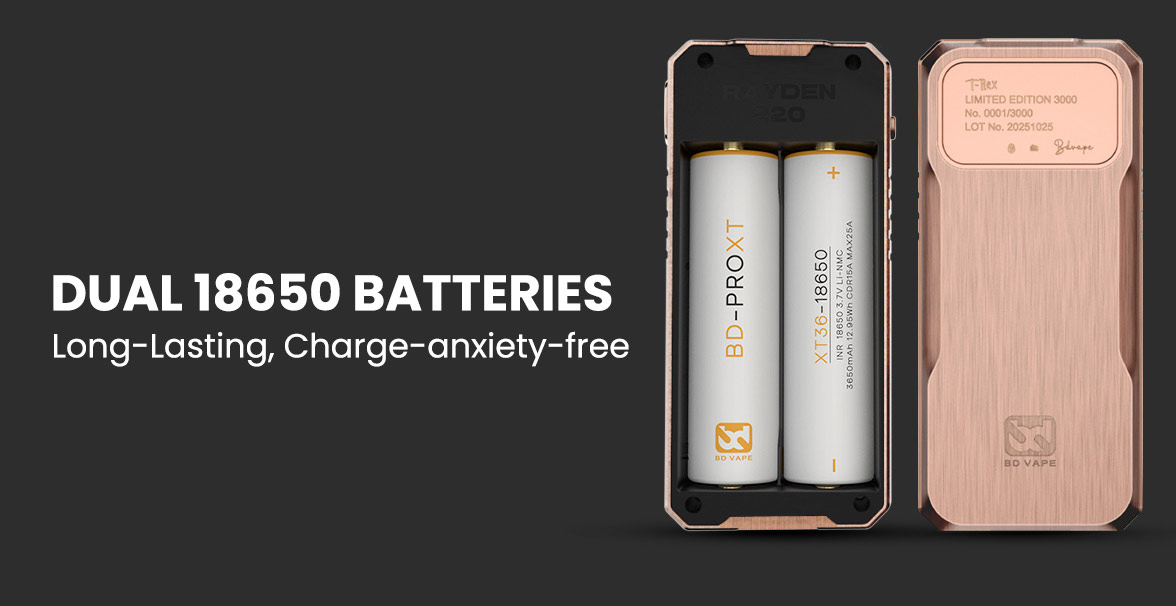 BD Vape Mod Rayden 220 Box Mod