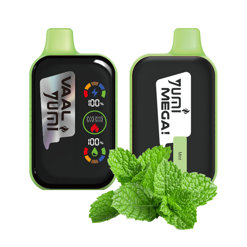 [Global-CN03] YUMI & VAAL Mega 20000 Disposable Vape Kit 650mAh 16ml
