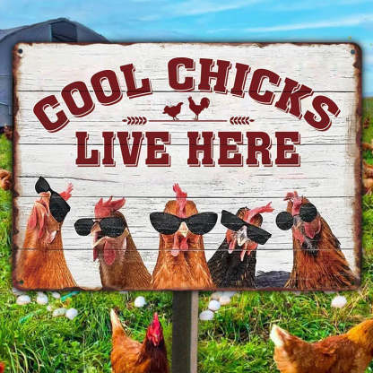 Chicken Coop Sign | Cool Chicks Live Here Chicken Coop Sign Metal Cool Chicks Live Here Information Signs-Jolura