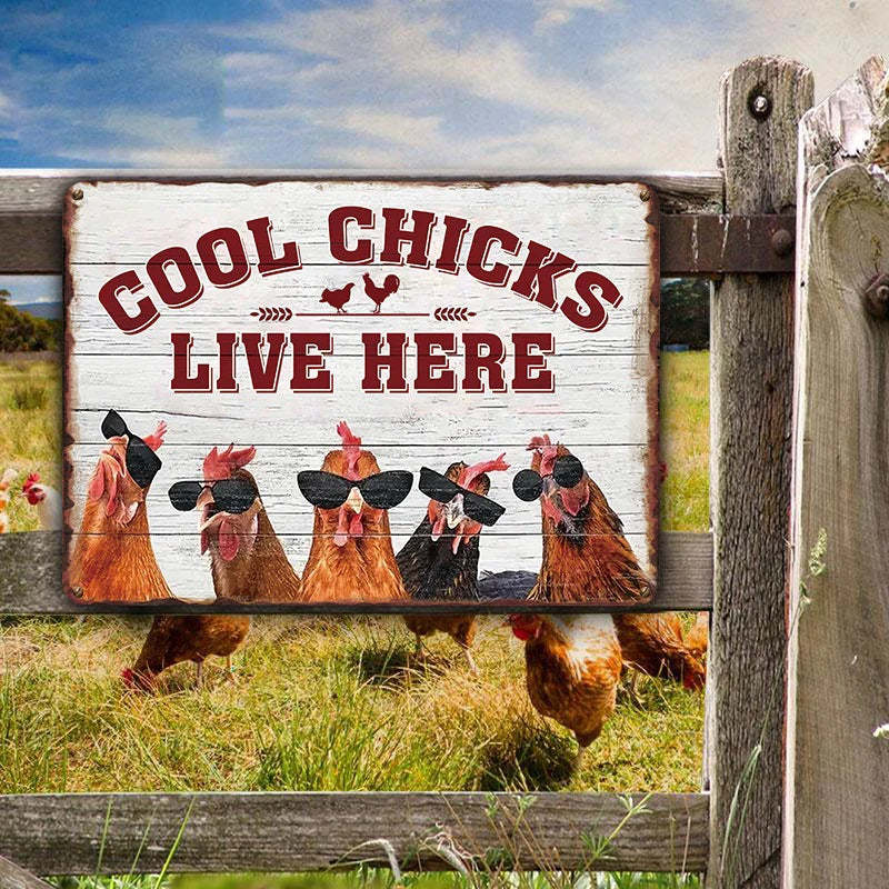 Chicken Coop Sign | Cool Chicks Live Here Chicken Coop Sign Metal Cool Chicks Live Here Information Signs-Jolura