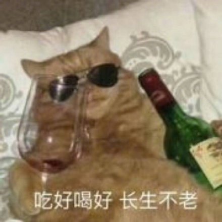 doll Milk Most No. skip-New Feature DemoNew Feature Demoorange