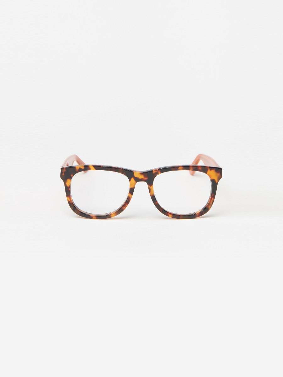 Barlett Readers in Tortoise-New Feature DemoNew Feature Demo