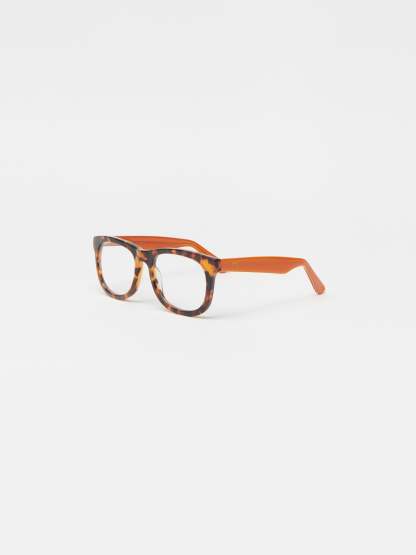 Barlett Readers in Tortoise-New Feature DemoNew Feature Demo