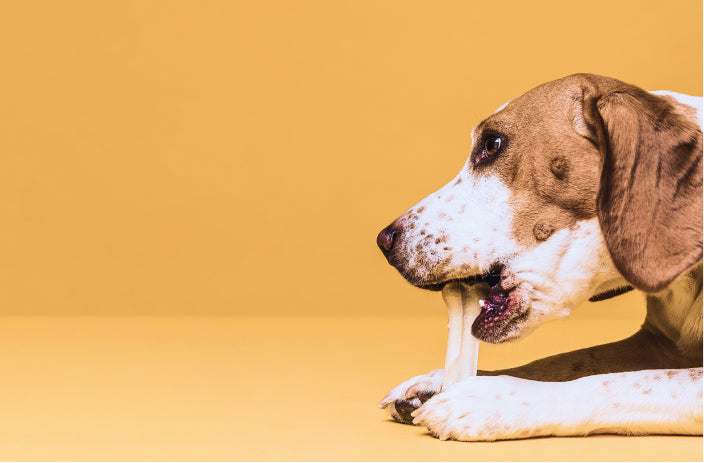 Milk new one-update-New Feature DemoNew Feature Demoorange BABA update