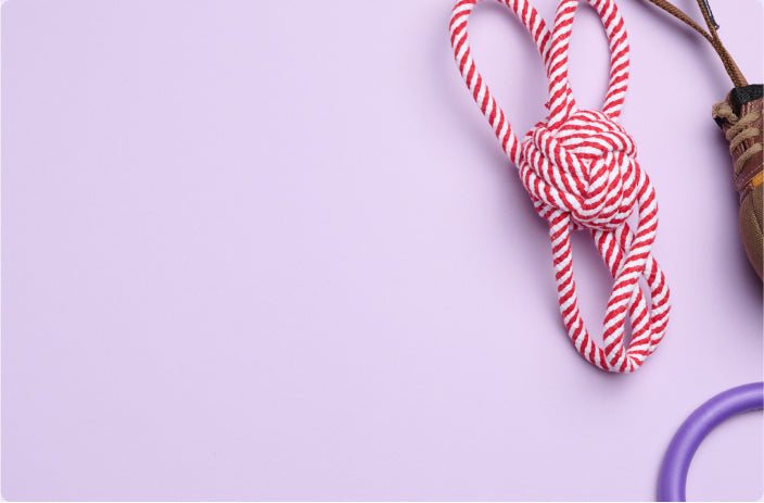 smart see your‘s all life-New Feature Demo