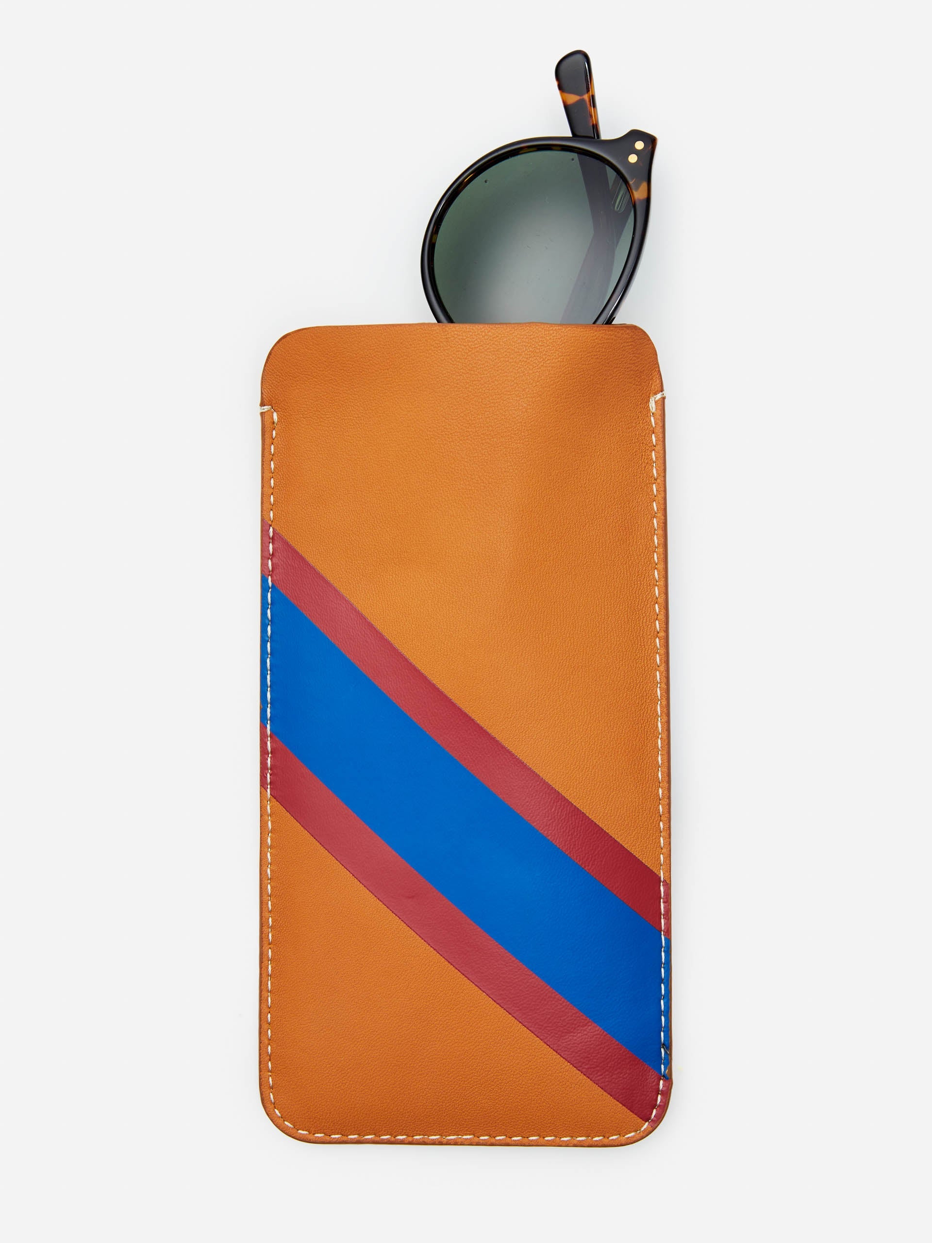 Leather Eyewear Case in Fall Multi Stripes-New Feature DemoNew Feature Demo