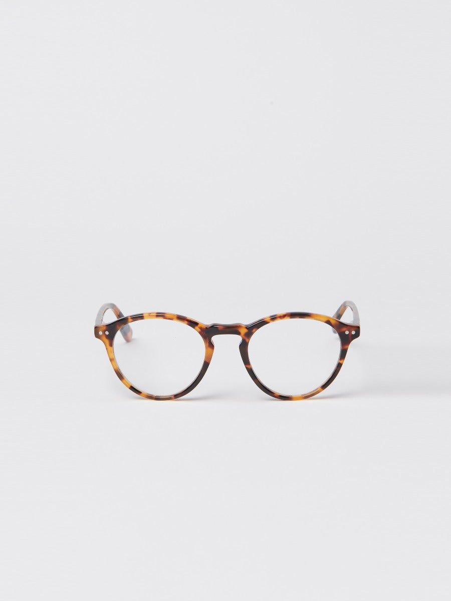 Lansing Readers in Tortoise-New Feature DemoNew Feature Demo