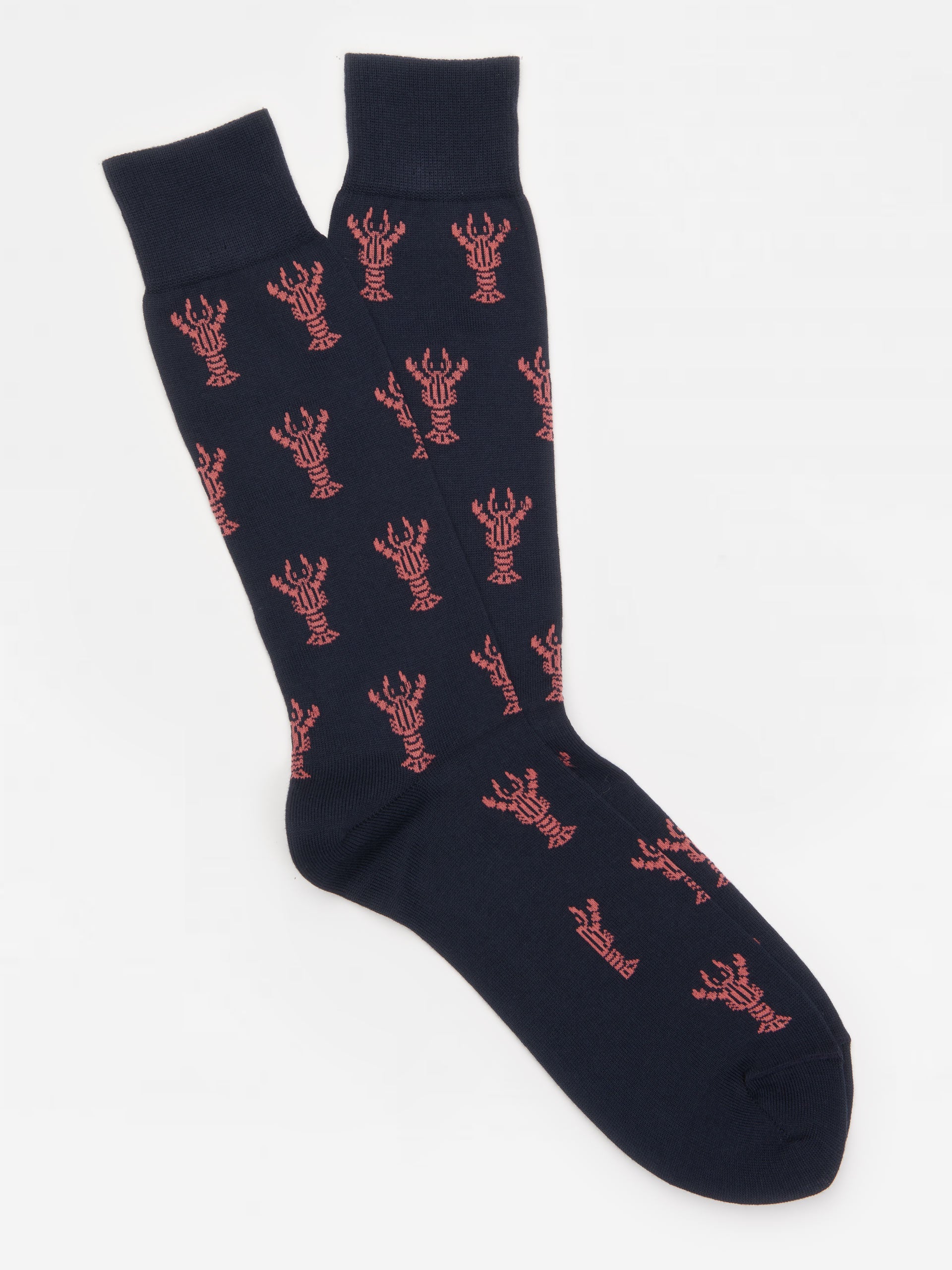 Socks in Lobster-New Feature DemoNew Feature Demo